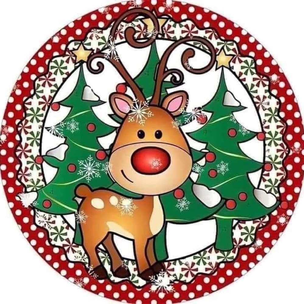 Reindeer Coaster